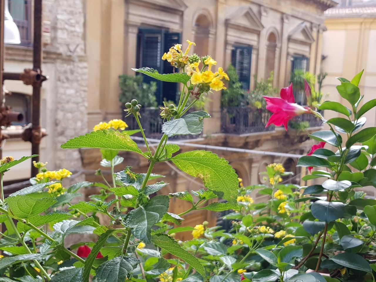 Bed and Breakfast Casa Coccinella Кальтаниссетта Экстерьер фото